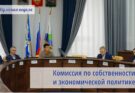 В Иркутской горДуме прошло заседание комиссии по собственности и экономической политике
