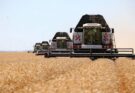 Экспорт зерна из Ростовской области вышел на уровень прошлого сезона
